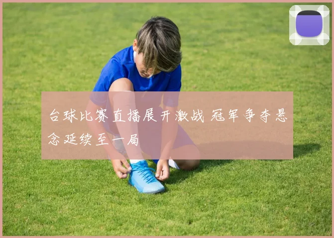 台球比赛直播展开激战 冠军争夺悬念延续至一局