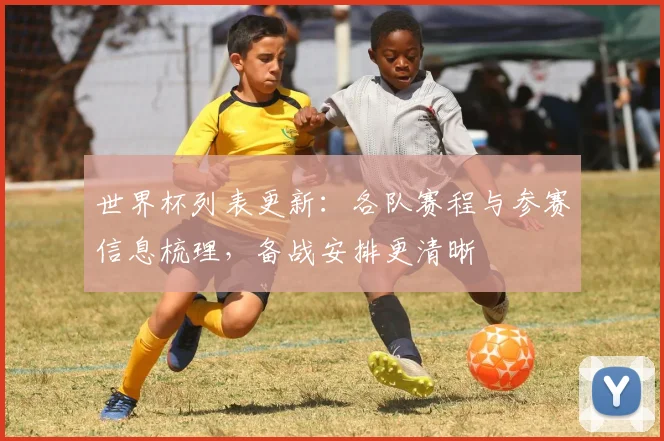 世界杯列表更新：各队赛程与参赛信息梳理，备战安排更清晰