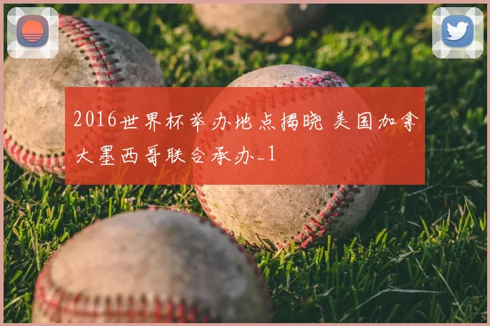 2016世界杯举办地点揭晓 美国加拿大墨西哥联合承办_1